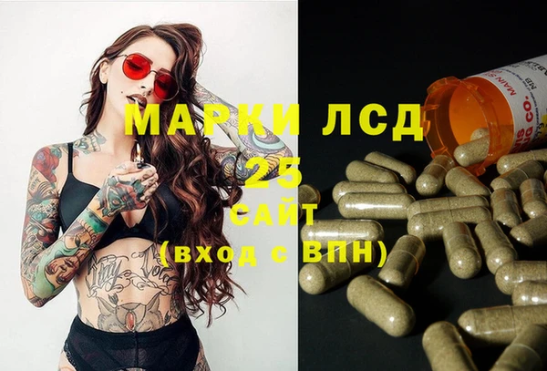 гидропоника Богданович