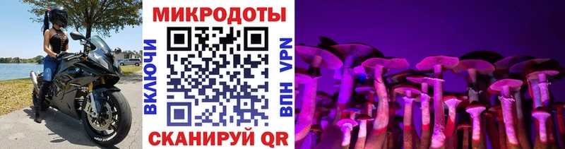 Псилоцибиновые грибы мицелий  Купить где  Аргун 