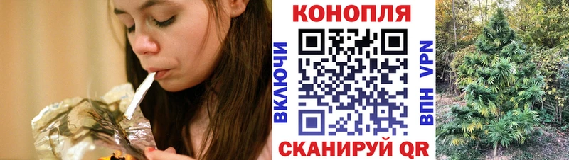 Конопля сатива  Купить  Аргун 